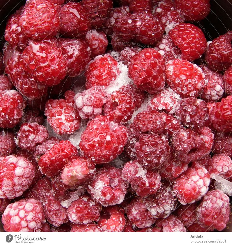 icy fruits Raspberry Frozen Thaw Delicious Red Summer Vitamin Healthy Fruit Ice Nutrition
