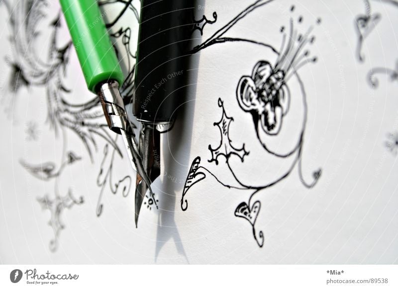 curlicue Ink Paper Painted Earmarked Flower Curlicue White Black Green Feather Image Shadow