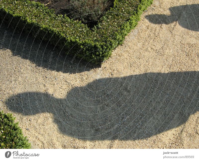 Shadow play in the monastery garden Relaxation Human being Park green Time Hedge Development Ask Direction Forwards Behind one another Border Discern
