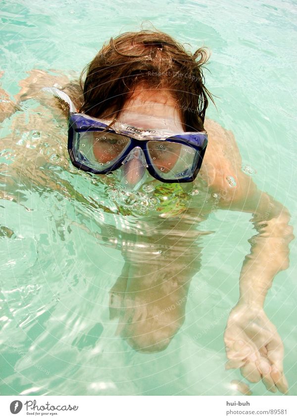 Not swimmer?! Dive Diving goggles Eyeglasses Breathe Air Clean Spit Vacation & Travel Stick Wet Physics Oxygen Emerge Sleep Dream Cot Calm Bla Splash of water