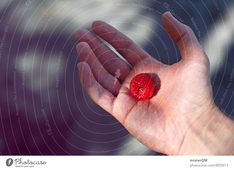 Raspberry. Art Esthetic Red Hand Fingers Finger food Fruit Mature Healthy Food photograph Healthy Eating Diet Thrifty Colour photo Subdued colour Exterior shot