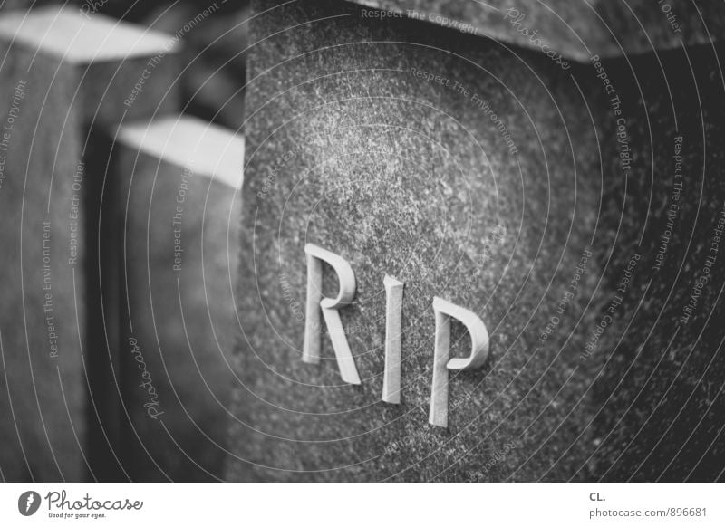 R.I.P. Tombstone Stone Characters Sadness Grief Death Transience Funeral Cemetery Epitaph Black & white photo Exterior shot Close-up Deserted Day