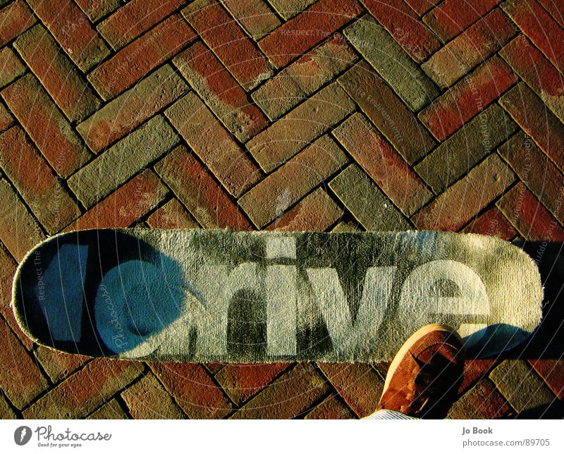 carpet skateboard Skateboarding Footwear Brown Sidewalk Sunlight Driving Lifestyle Carpet Sports Playing shoe stone Cobblestones drive Coil Flying it Characters