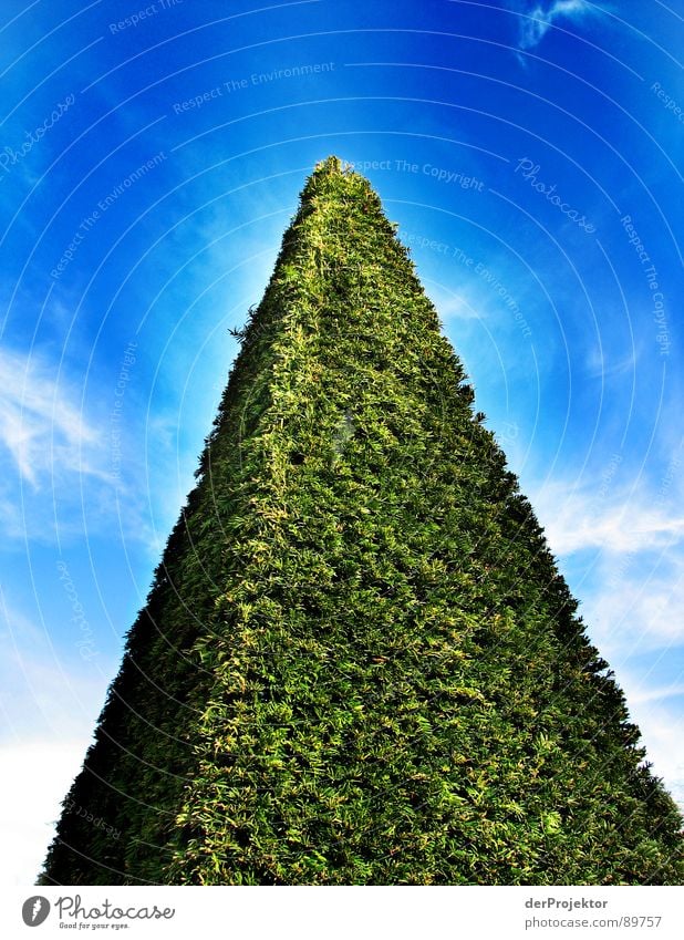 3d-meadow Meadow White Clouds Three-dimensional Bushes Triangle Green Landmark Monument Sky Blue Lawn Pyramid Contrast Structures and shapes