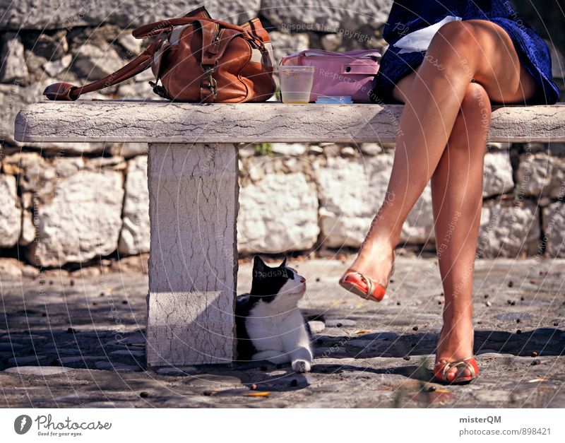 Lunch bench. Art Esthetic Contentment France Southern France Vacation mood Vacation destination Vacation romance Legs Penumbra Bench Cat Cat lover Looking