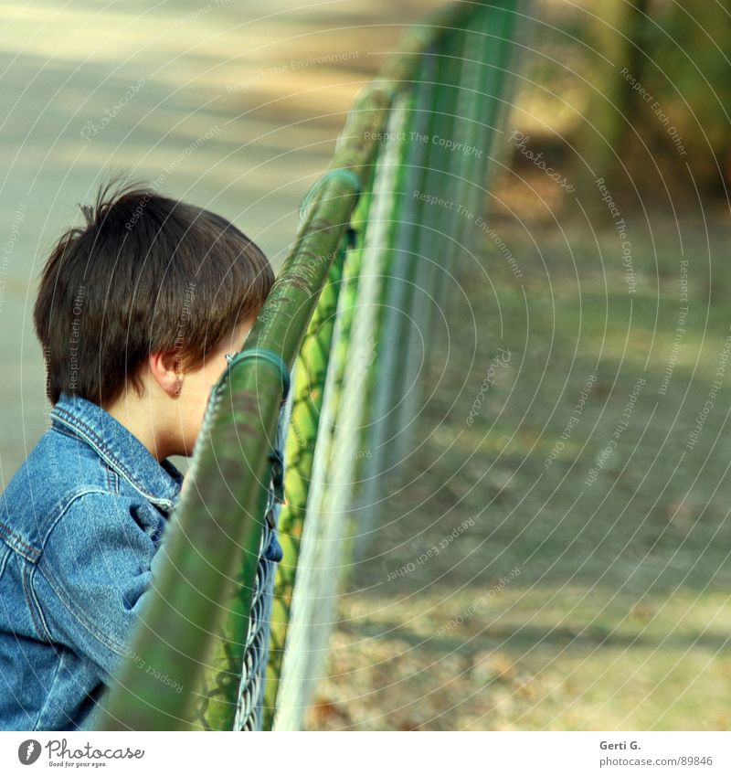 undercover Exclude Solitary Child Human being Jeans jacket Fence Grating Border Barrier Stop Diagonal Enclosure Zoo Invisible Hide Backwards Captured Green