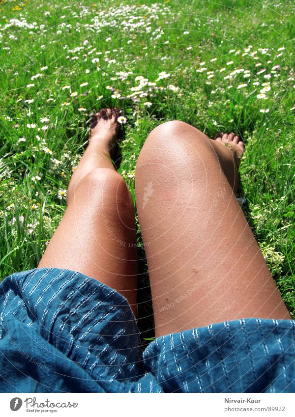 grassy bone Grass Barefoot Meadow Daisy Knee Thigh Spring Legs Skin