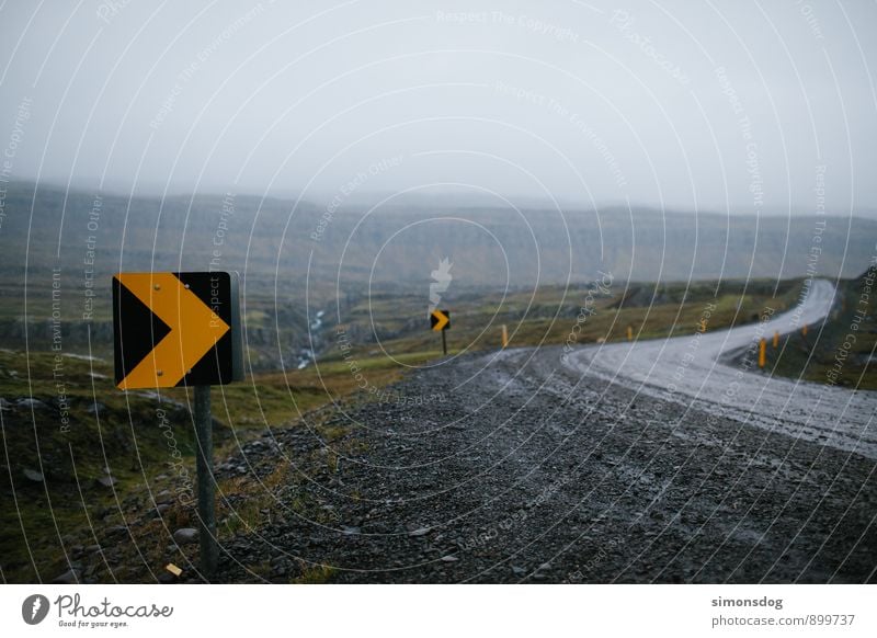 I'm in Iceland. Traffic infrastructure Vacation & Travel Risk Road safety Road sign Gravel road High plateau Carpet of moss Fog Regen County Colour photo