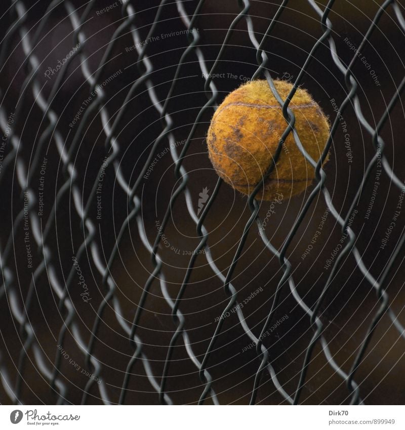 The game's over. Sports Ball sports Tennis Tennis ball Sporting Complex Tennis court Turin Sporting grounds Fence Wire fence Wire netting Wire netting fence