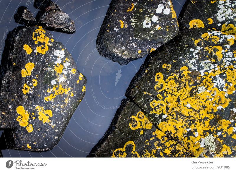 Aerial view of archipelago stones Environment Nature Landscape Plant Elements Summer Bad weather Rock Coast Bay Fjord Baltic Sea Ocean Yellow Black White