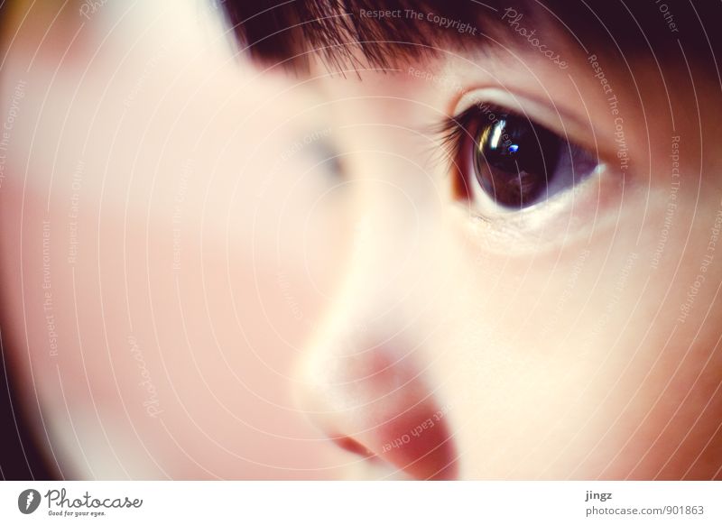 iris Toddler Eyes 1 Human being 3 - 8 years Child Infancy Observe Illuminate Near Calm Center point Concentrate Reflection Looking Soft Focal point Colour photo