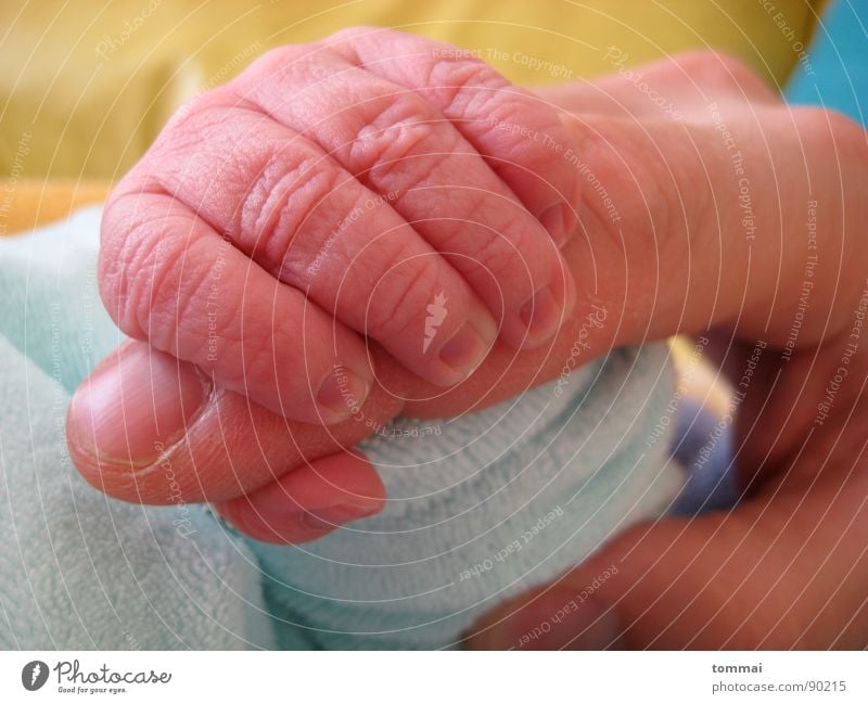 five Fingers Child Baby Pink Father Thumb Hand Society Birth Toddler Mother index finger Blue Detail Love Happy Man