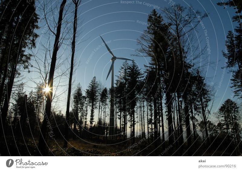 Wind power at Roßkopf 2 Sky Coniferous trees Forest Sky blue Geometry Deciduous tree Perspective Coniferous forest Glade Paradise Clearing Wind energy plant