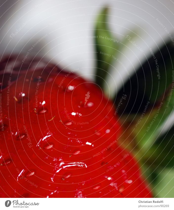 strawberry Macro (Extreme close-up) Fruit flesh Green White Red Strawberry Plant Close-up macrophotography
