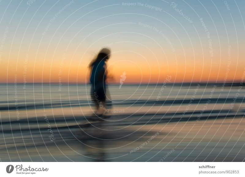 Late Sports II Human being Feminine Girl Young woman Youth (Young adults) 1 Cloudless sky Sunrise Sunset Beautiful weather Waves Coast Lakeside Beach Ocean