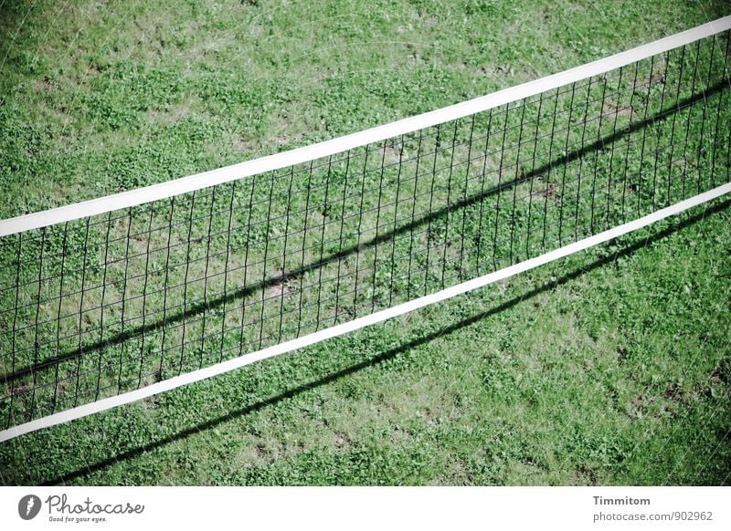 Ready! Sports Net Playing field Grass Wait Esthetic Simple Clean Athletic Green Black White Emotions Shadow Line Colour photo Exterior shot Deserted