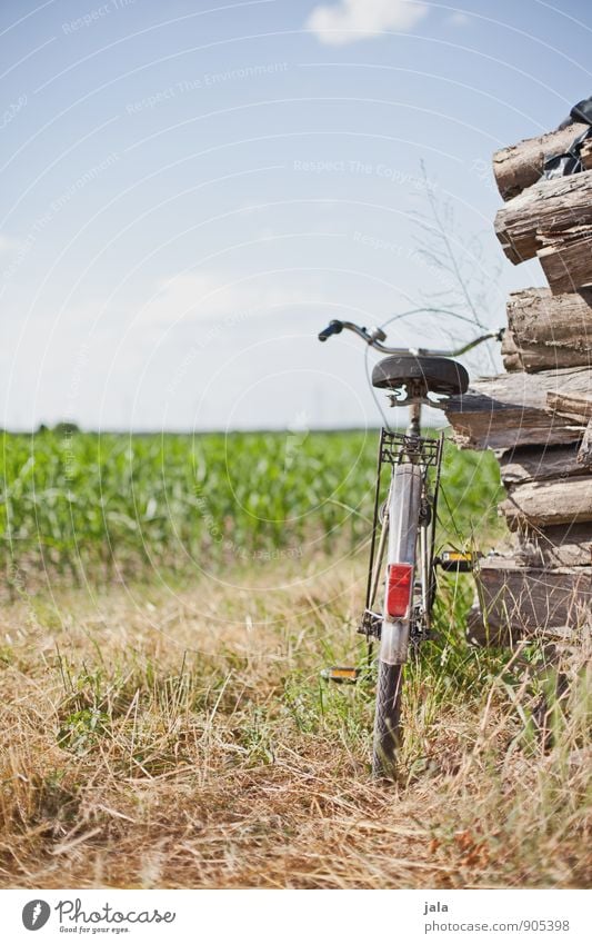 bicycle Bicycle Nature Landscape Plant Sky Summer Beautiful weather Grass Agricultural crop Field Friendliness Positive Colour photo Exterior shot Deserted