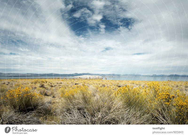 Mono Lake Environment Nature Landscape Sky Clouds Climate Climate change Weather Park Desert Infinity Blue Yellow Loneliness Uniqueness Environmental pollution