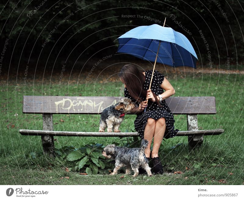 . Bench Park bench Feminine 1 Human being 18 - 30 years Youth (Young adults) Adults Beautiful weather Meadow Forest Dress Umbrella Hair and hairstyles Brunette