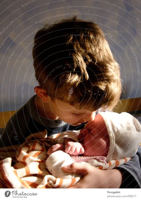 Big Brother Baby Small Scream Sister To console Grief Kissing Caresses Toddler Boy (child) 7 years Sadness Cry