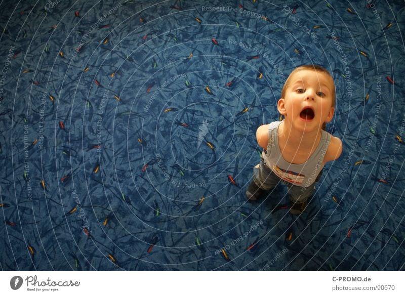 Boy looks up and screams Child Carpet Bird's-eye view Under Scream Shirt Argument Revolt Small Boy (child) Kindergarten Defiant furious Aggravation Feeble