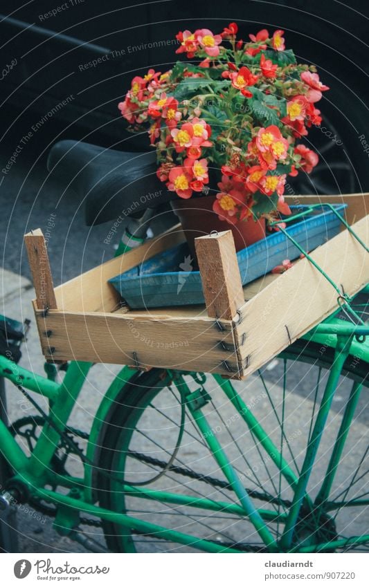 Begonia Express Plant Flower Blossom Cycling Driving Green Red Logistics Bicycle luggage carrier Bicycle saddle Crate Wooden box bicycle basket Flowerpot