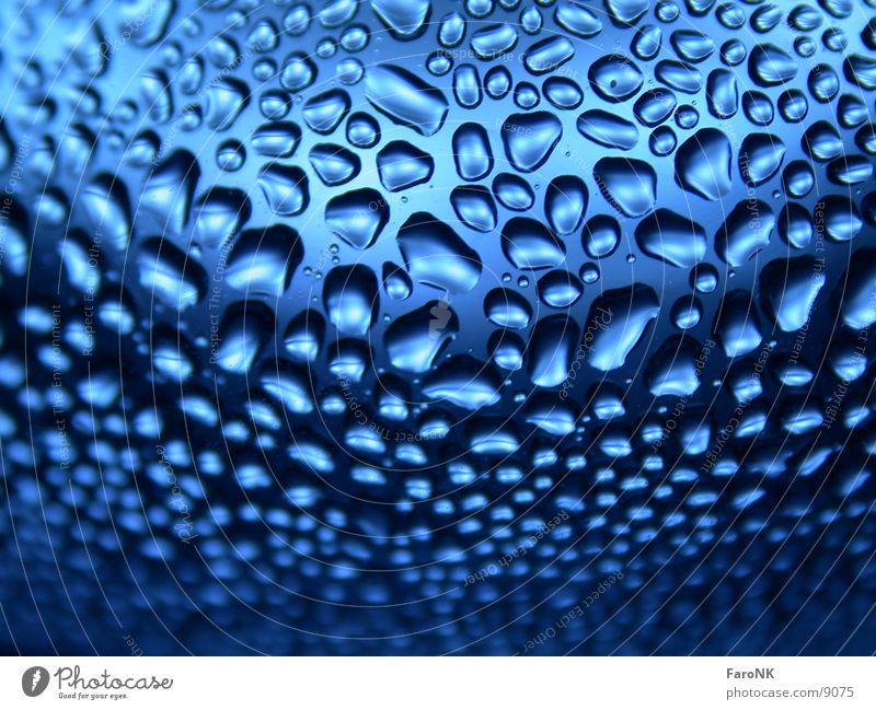Blue drops Macro (Extreme close-up) Close-up Drops of water Water