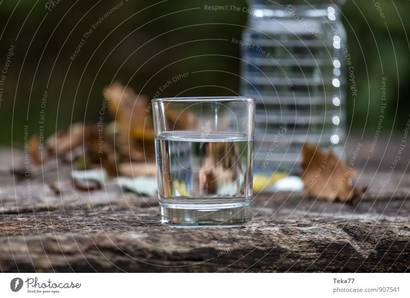 Drinking water #1 Beverage Life Summer Sports Nature Water Jump Cool (slang) Pure Colour photo Exterior shot Deserted