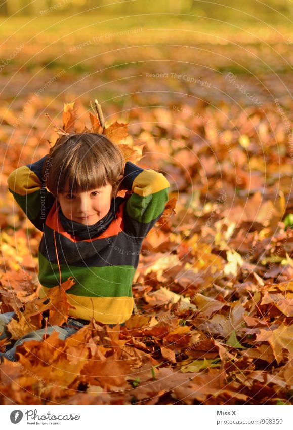 litter Leisure and hobbies Playing Children's game Garden Human being Toddler Boy (child) Infancy 1 1 - 3 years 3 - 8 years Autumn Leaf Forest Smiling Sit Throw