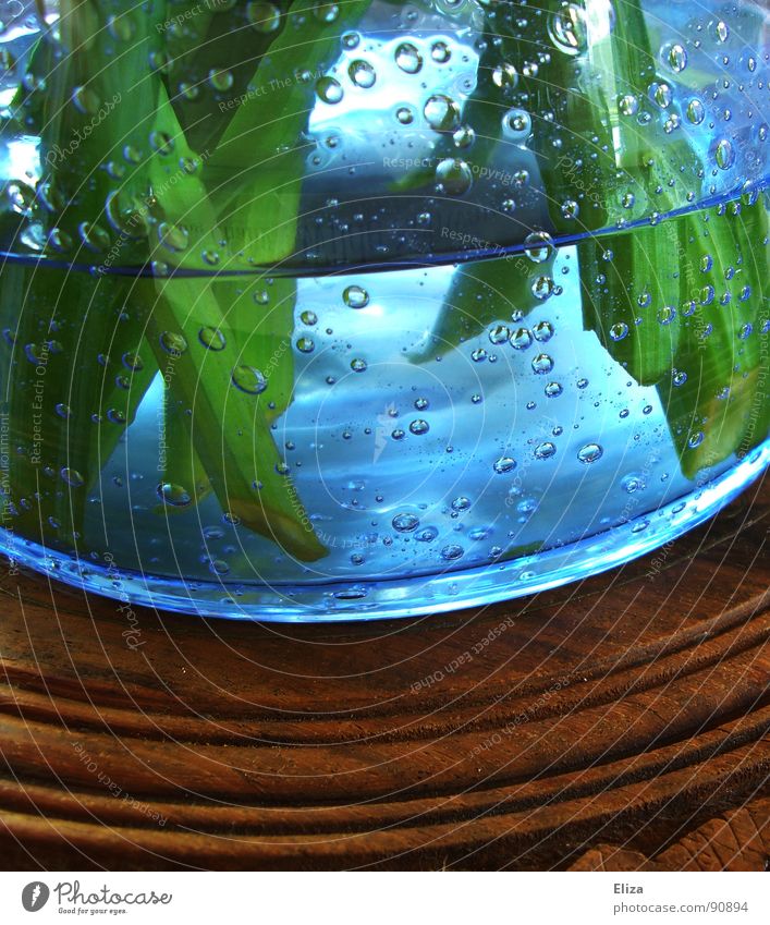 air bubbles Air bubble Stalk Vase Wooden table Round Curved Green Flower Breathe Fluid Brown Stale Go up Oxygen Soap bubble Glass bowl Cyan Cast Fresh