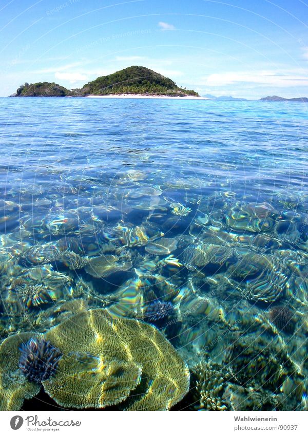 Waterworld Ocean Vacation & Travel Coral Fiji Islands Dive Matamanoa Iceland Underwater photo