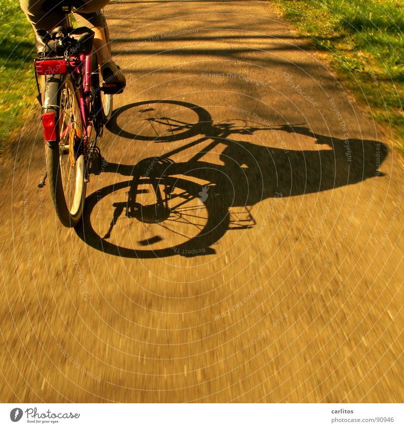 Sunday excursion 4 Bicycle Trip Summer Cycle path Cycling tour Leisure and hobbies Healthy Shadow Partially visible Section of image Detail Rear view In transit