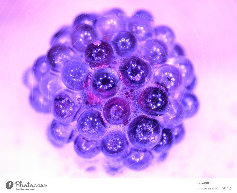 NorB Violet Foam Macro (Extreme close-up) Close-up Sphere Blue