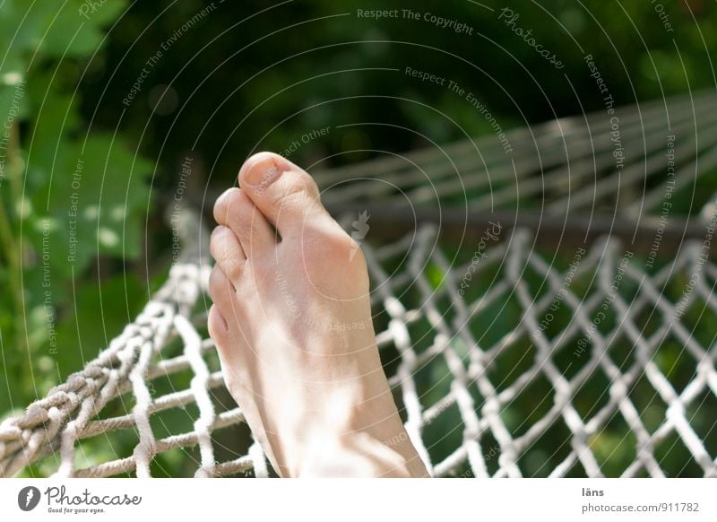 hang out Wellness Well-being Contentment Relaxation Summer Summer vacation Sun Sunbathing Man Adults Life Feet 1 Human being Environment Nature