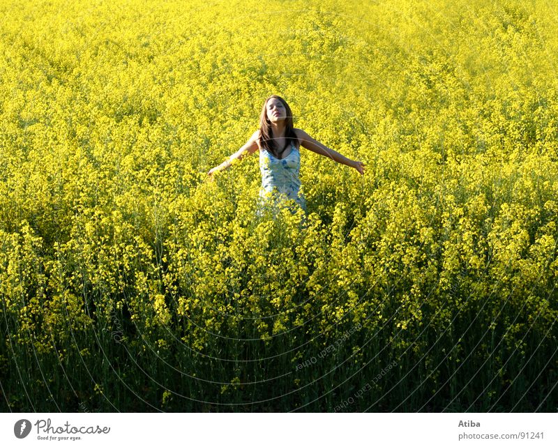 sun worshippers Canola Yellow Field Agriculture Feminine Dress Prayer Summer Spring Oil To enjoy Colour