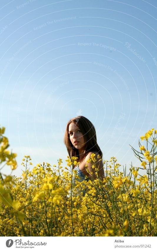 the girl from the rape Canola Field Yellow Agriculture Woman Feminine Dress Clouds Portrait photograph Summer Sky Beautiful weather Colour Looking
