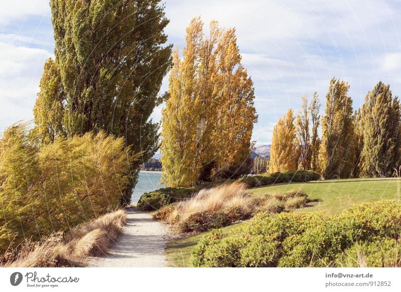 autumn day Environment Nature Landscape Plant Animal Water Sky Autumn Weather Beautiful weather Tree Grass Garden Park Meadow Lakeside River bank Warmth Yellow