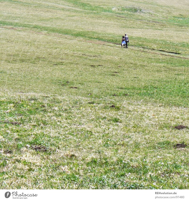 about the meadow Green Meadow Grass To go for a walk Hiking Structures and shapes Dry April Footpath Places Trip Summer Mountain Human being Couple Walking Lawn