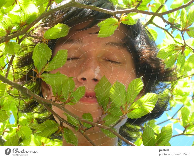 Jungle Child II Green Leaf Spring Emotions Dream Face Branch Calm Eyes