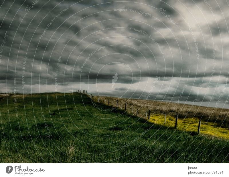 abyss Remote Field Fear Threat Clouds Dark Loneliness Yellow Storm clouds Grass Gray Green Horizon Agriculture Mood lighting Bad weather Moody Profound