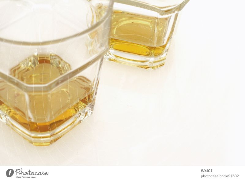 Lowland Single Malt Whiskey Scotland Glass Spirits Beverage Alcoholic drinks lowland Painting (action, work) Blaze cheers