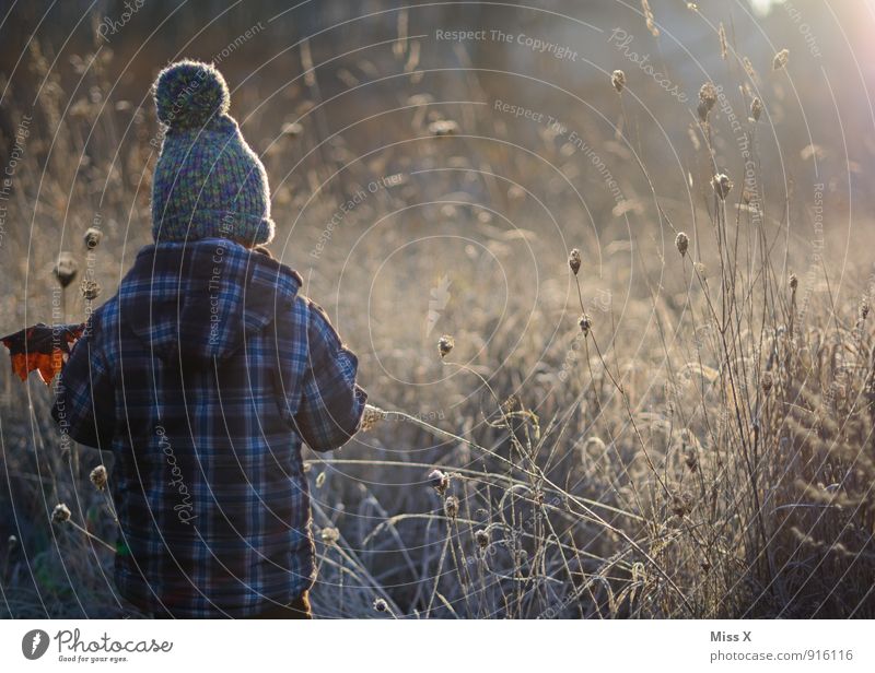 The morning Human being Child Toddler Boy (child) 1 1 - 3 years 3 - 8 years Infancy Autumn Winter Fog Ice Frost Bushes Leaf Field Cap Cold Emotions Moody