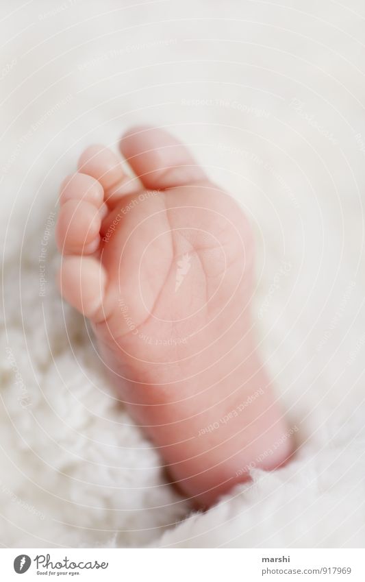 New Life Human being Child Baby Feet Emotions Moody Soft Toddler Birth Love Parents Colour photo Interior shot Close-up Detail Macro (Extreme close-up) Day
