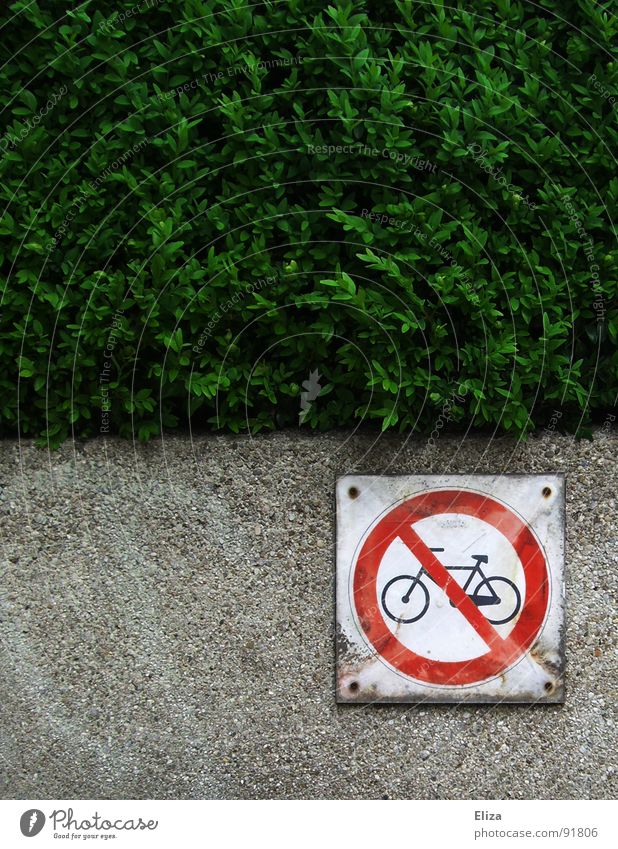 no cycling Cycling prohibited ride a bike Environmental protection Prohibition sign Goof off Bicycle Hedge Wall (barrier) Red interdiction Against forbidden