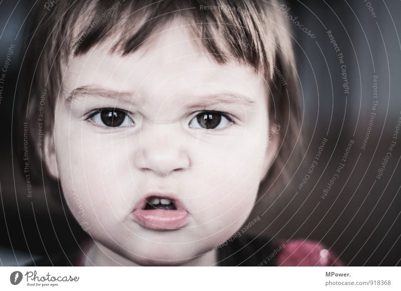brushed on riot Human being Child Toddler Girl Infancy Head 1 0 - 12 months Baby To talk Scream Aggression Grumble Button eyes Colour photo Subdued colour