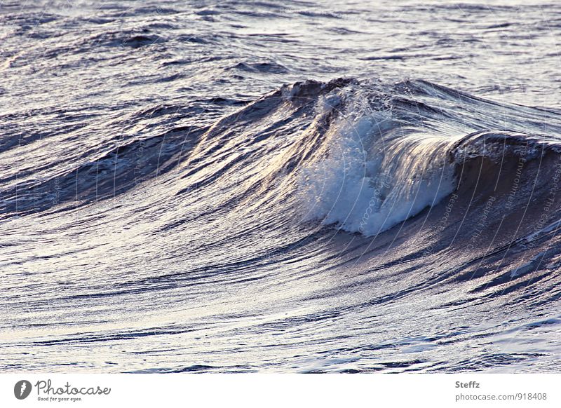grey-blue North Sea wave with silver shimmer wave noise wave crash Nordic Ocean certain light Maritime Waves Swell Water romantic Bay Wave action