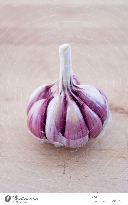 Allium sativum Food Garlic Healthy Violet White Odor Malodorous Delicious Colour photo Close-up Deserted Copy Space top Copy Space bottom Shallow depth of field