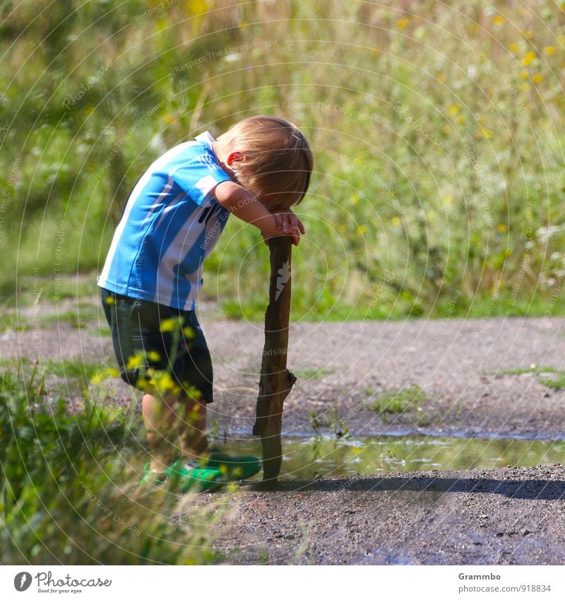 Short pause for reflection Human being Masculine Child Boy (child) Infancy 1 1 - 3 years Toddler Summer Beautiful weather Grass Bushes Think Small Cute Blue
