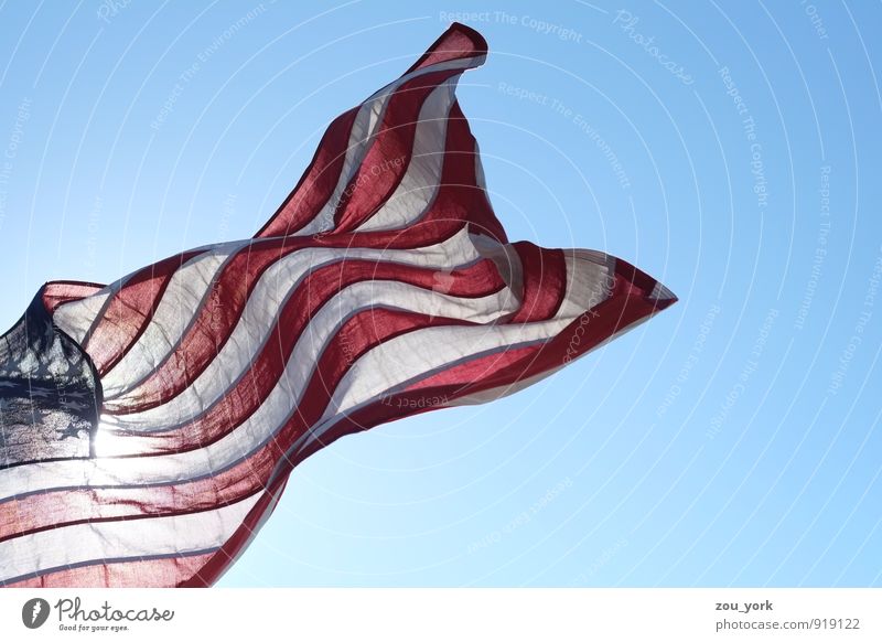 Stars and Stripes Sign Flag Emotions Financial Industry Advancement Society Politics and state Colour photo Exterior shot Detail Copy Space right