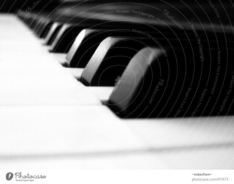 playing the piano Joy Harmonious Music Concert Piano Touch Together Romance Sound Classical Rhythm Gap Assault Musical instrument Depth of field Play piano Tone